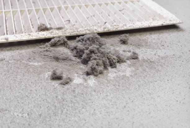 Best Air Duct Cleaning Company Near Me  in Worcester, MA